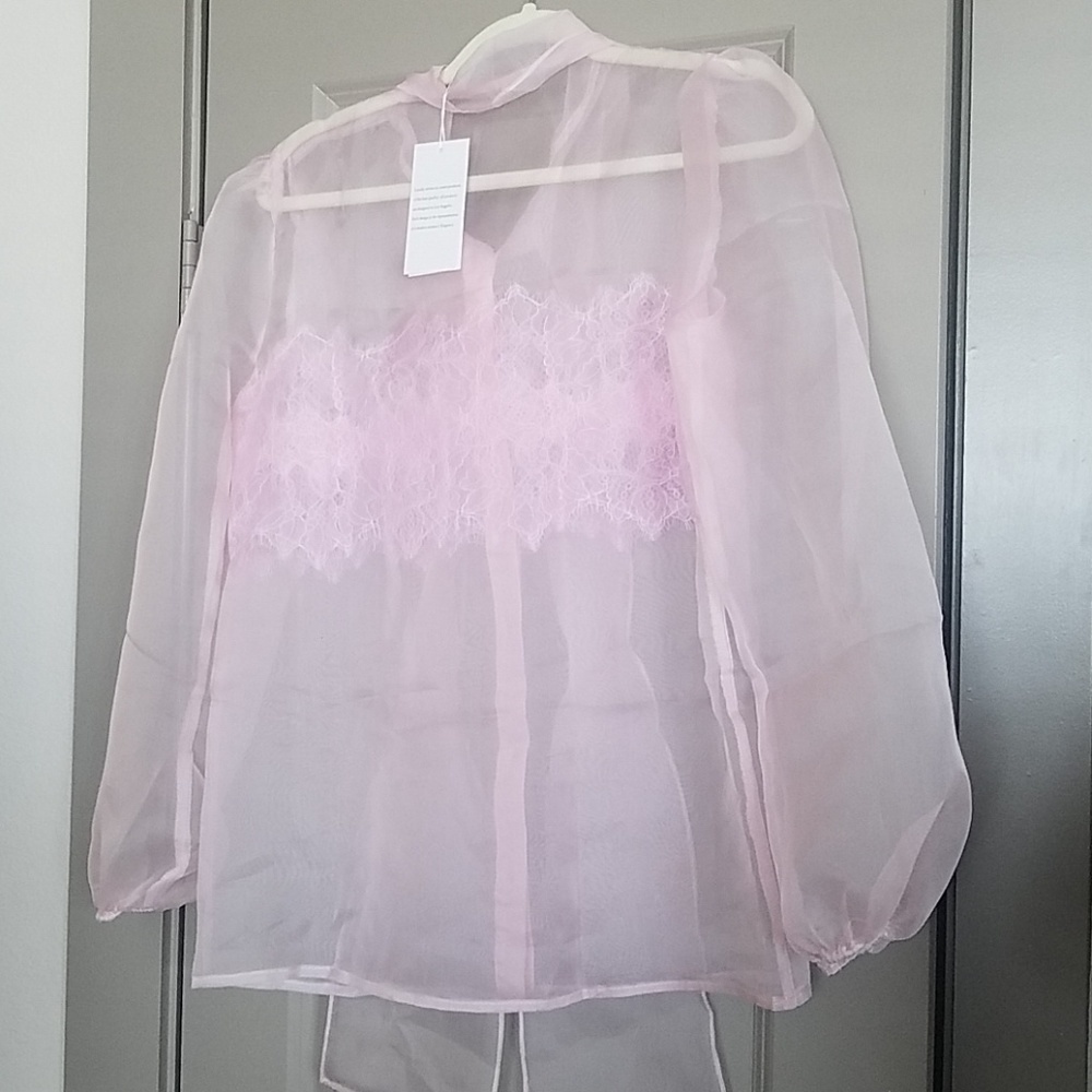 Sheer Lace Blouse in Blush - Picture 5 of 5